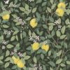 Citrontrad 5701